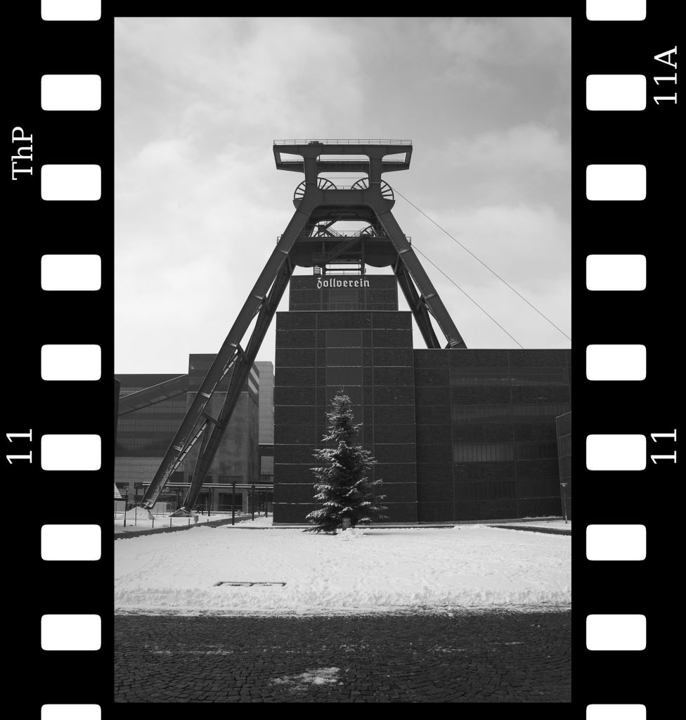 schacht12.jpg (large)