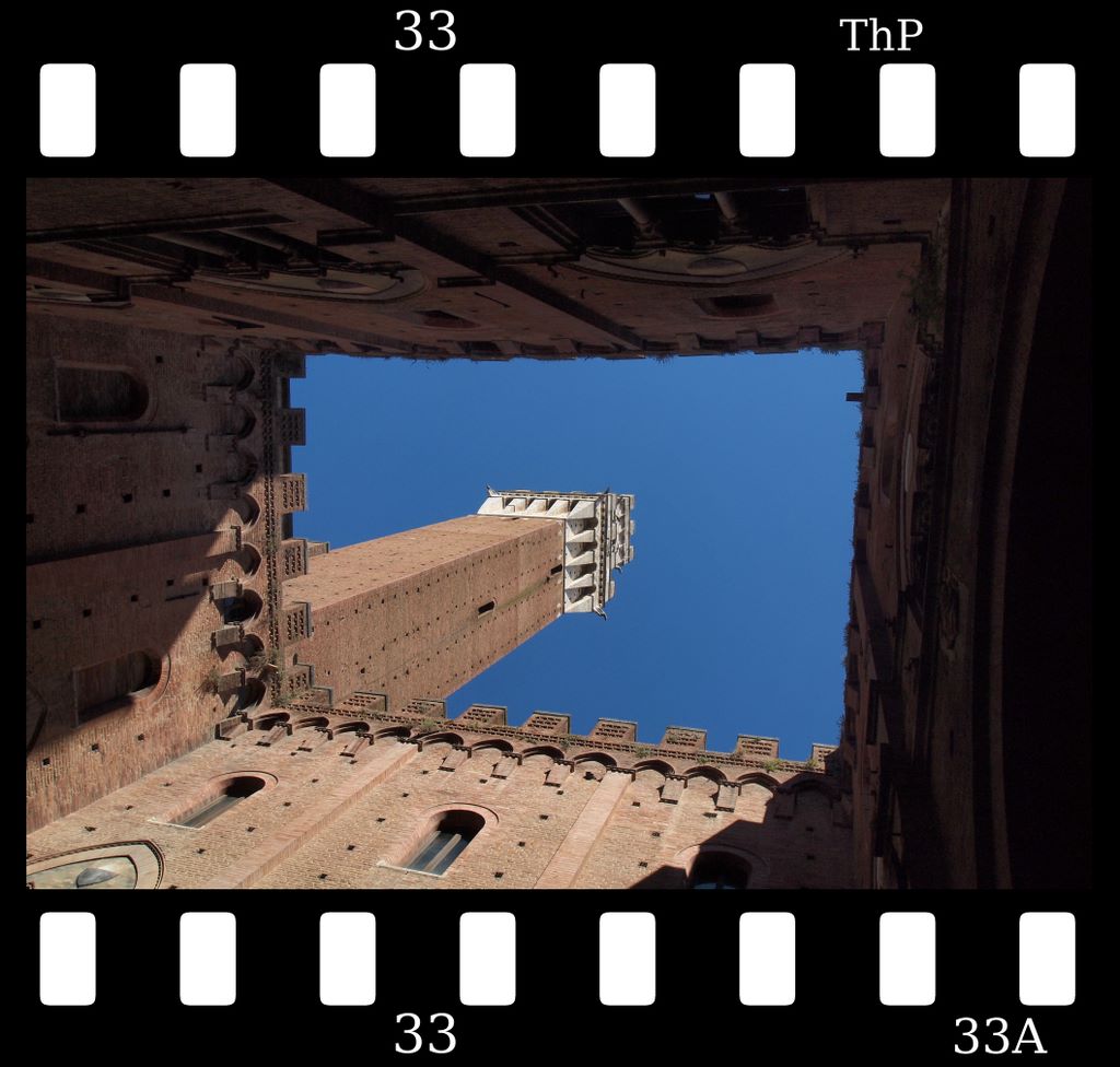 siena4.jpg (large)